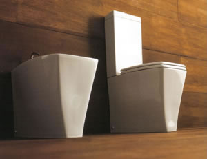 Vitruvit Ice Toiletten